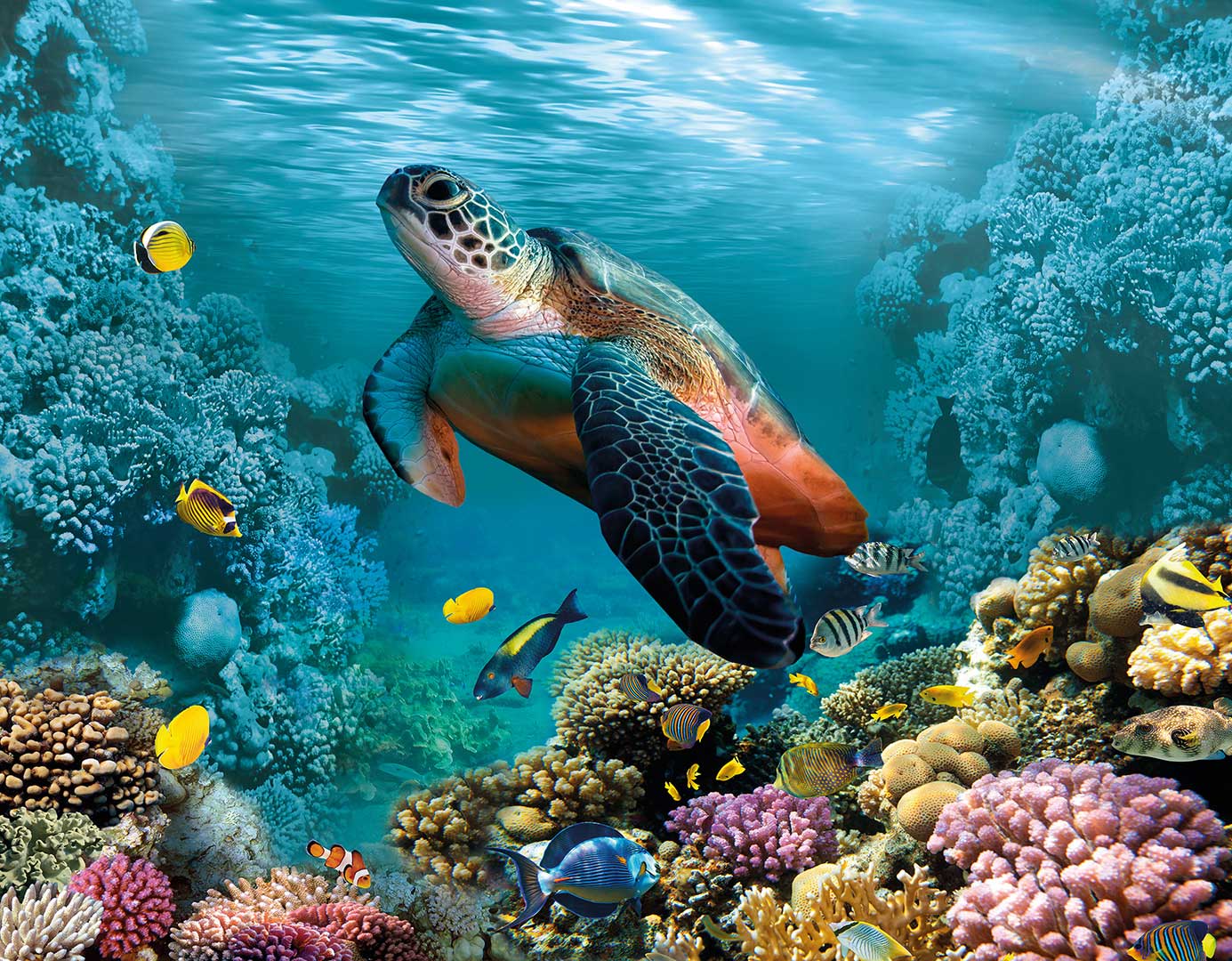 tortoise and fish swimming in a coral reef